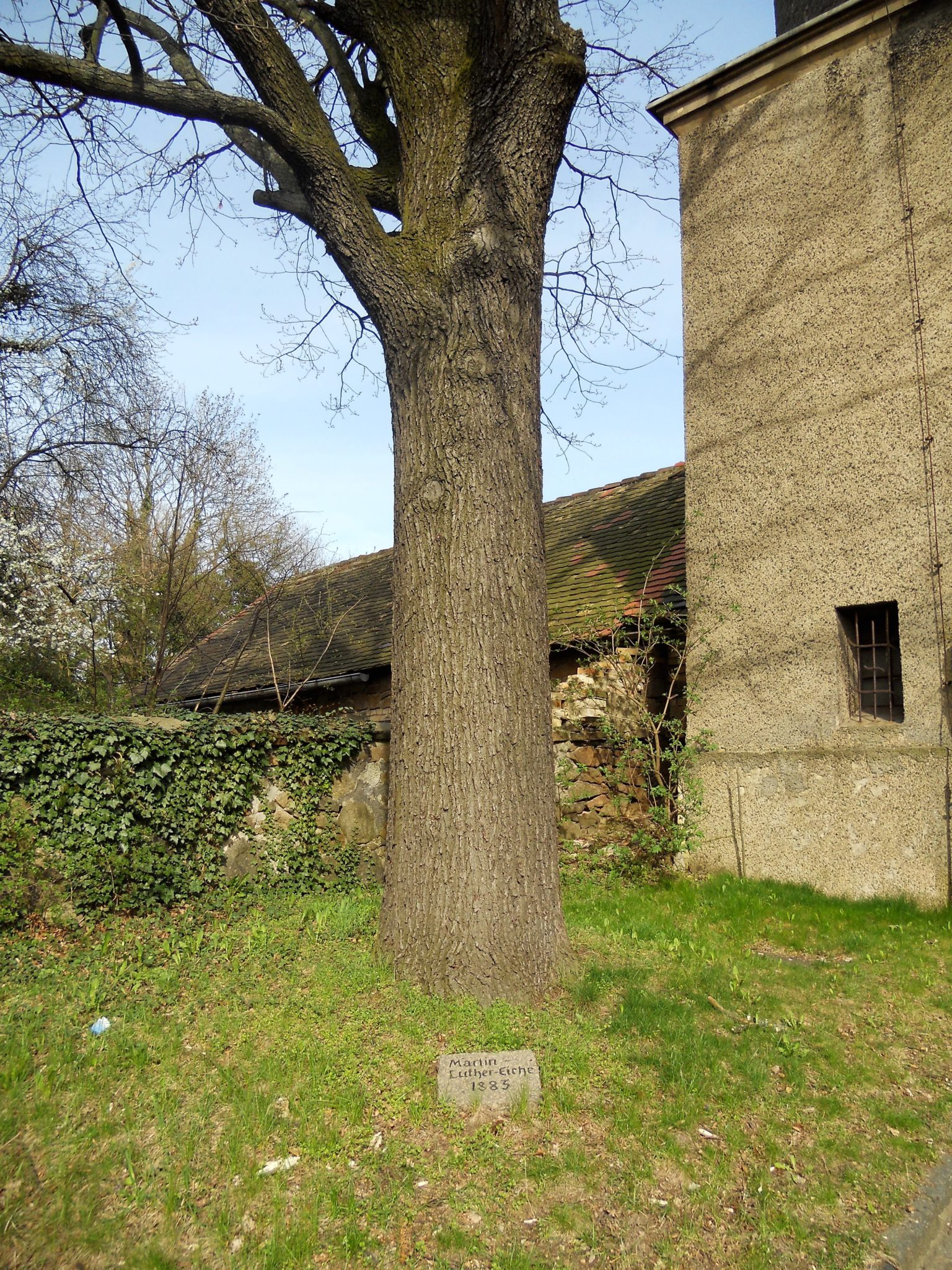Beucha Unterwegs im Hinterland