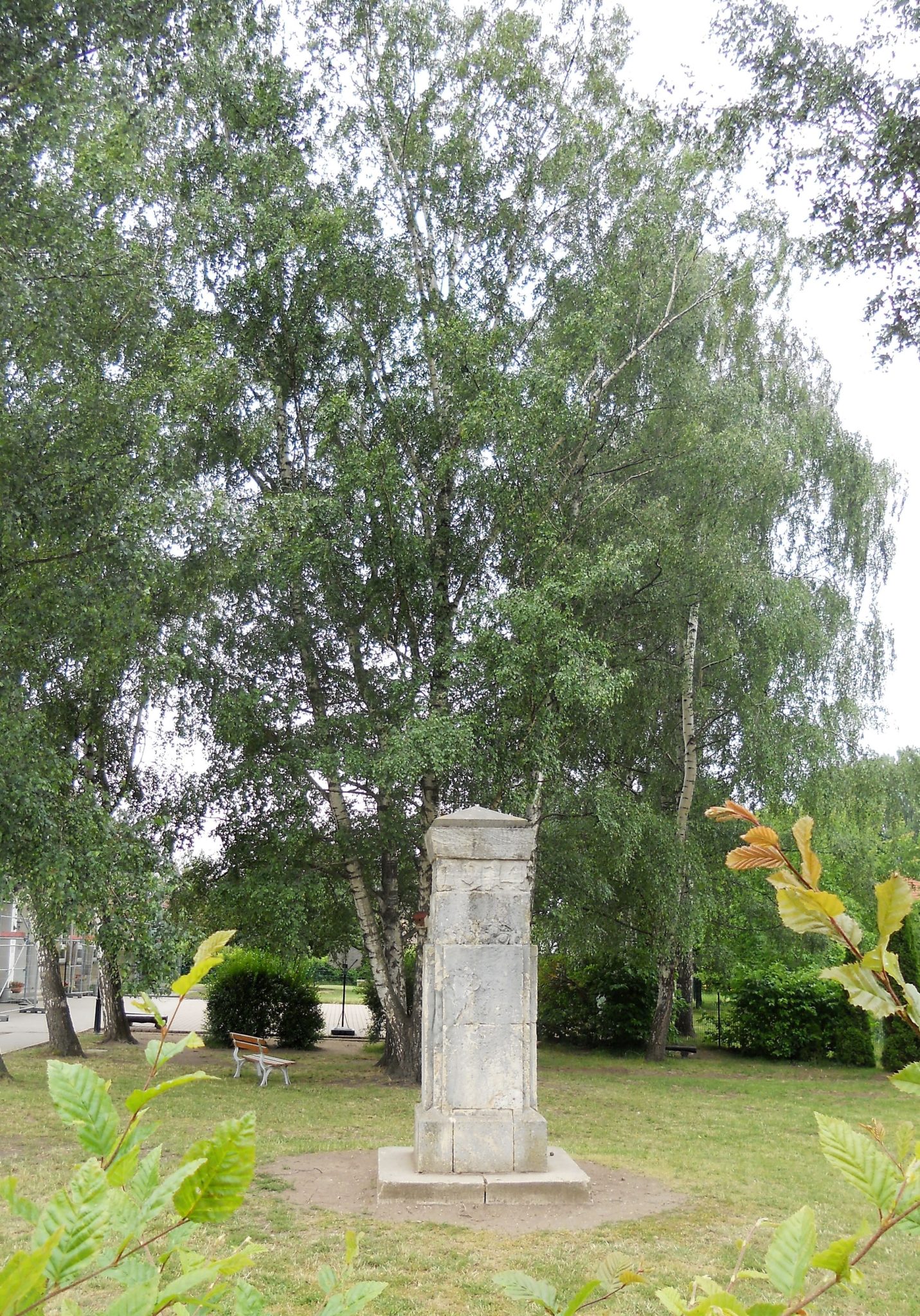 Großgörschen Unterwegs im Hinterland