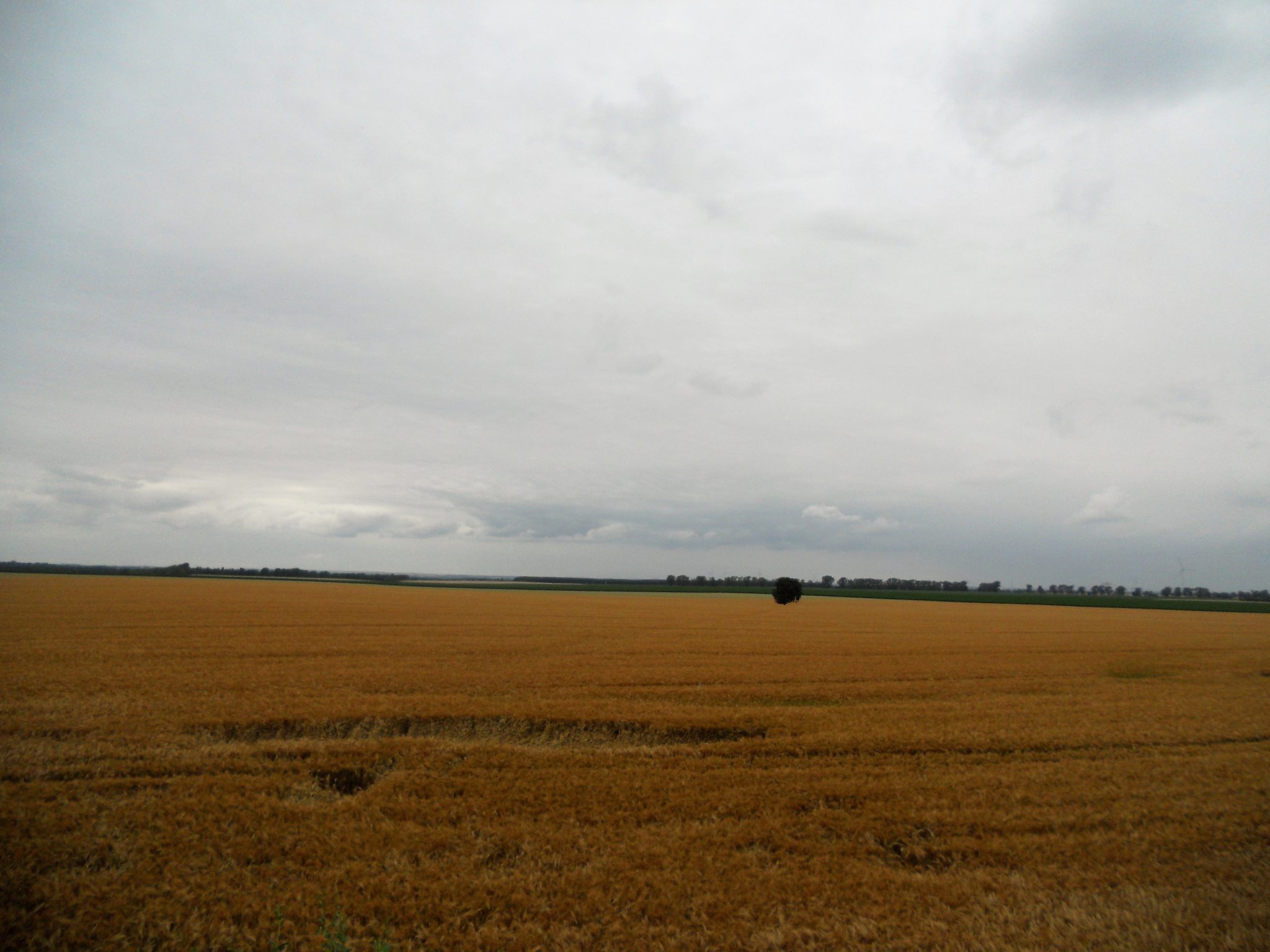 Großgörschen Unterwegs im Hinterland